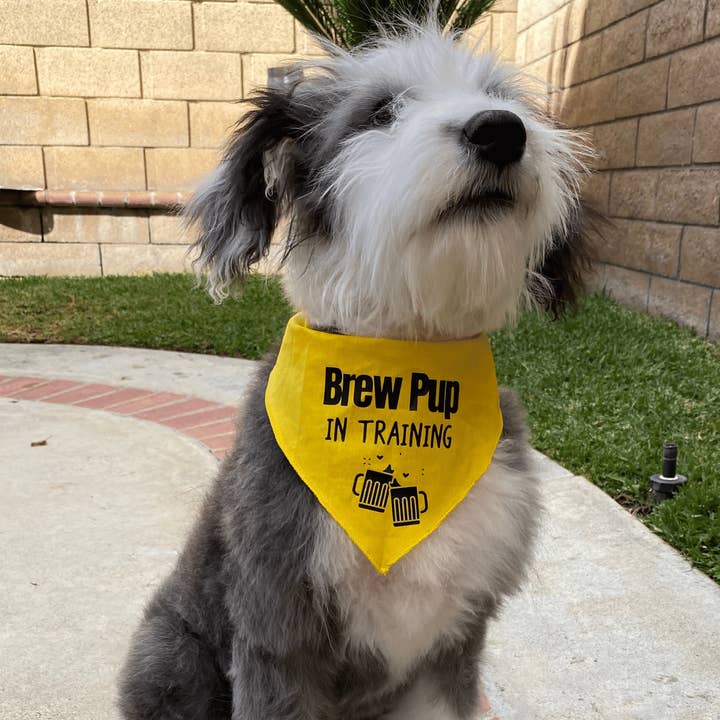 Brew Pup In Training Dog Bandana, Craft Beer Pet Gear for wholesale by Craft Beer Pet Gear