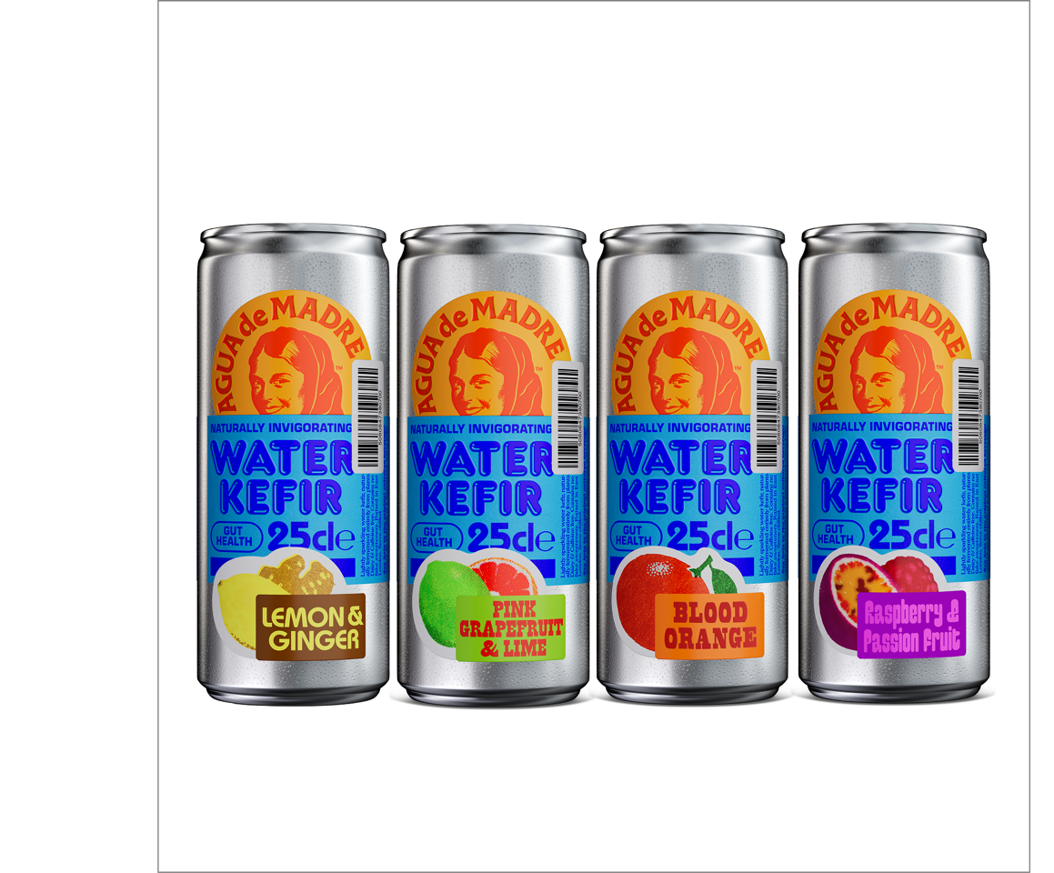 Agua De Madre - Vendita all'ingrosso Kombucha - Agua De Madre acqua kefir in lattina 25 cl1