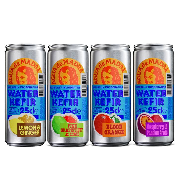 Agua De Madre - Vendita all'ingrosso Kombucha - Agua De Madre acqua kefir in lattina 25 cl1