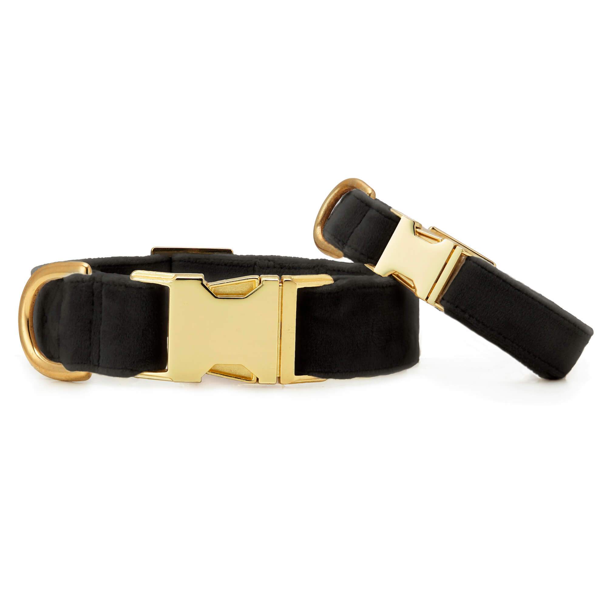 The Foggy Dog - Wholesale Pet Collar - Dog - Black Velvet Dog Collar2