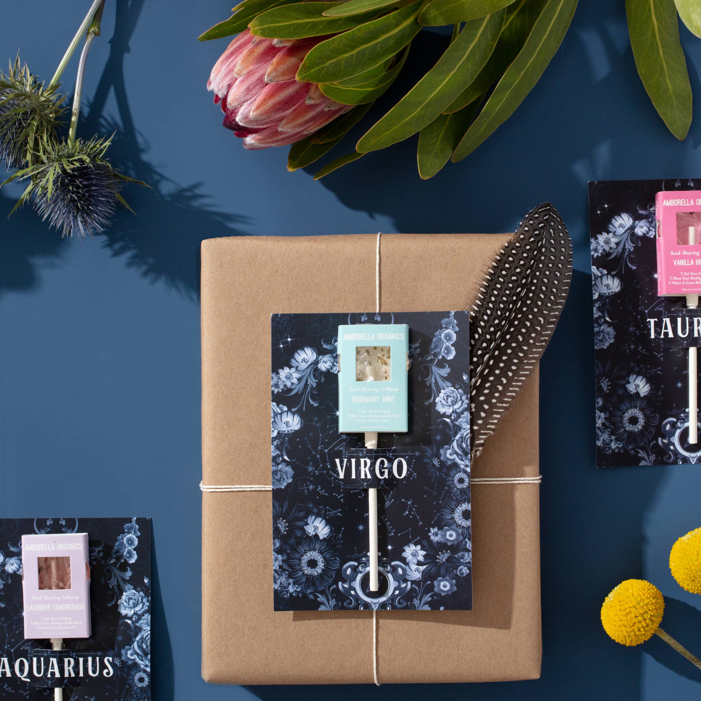 Amborella Organics - Wholesale Lollipop - Astrology Cards w/ Seed-Bearing Lollipop (Eat, Plant, Grow)6