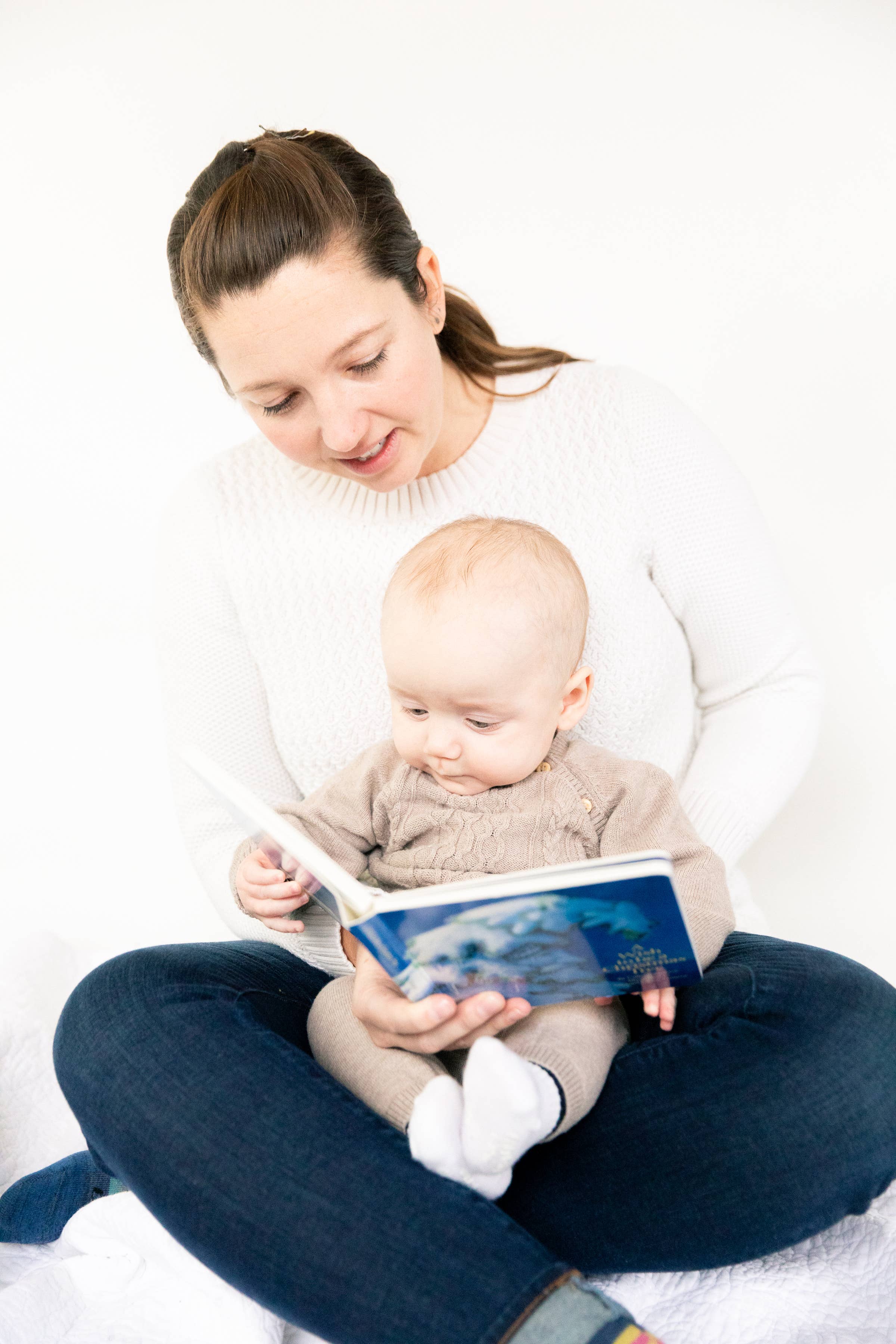 Sleeping Bear Press - Wholesale Baby & Toddler Book (0-2) - A Wish to be a Christmas Tree Board Book7