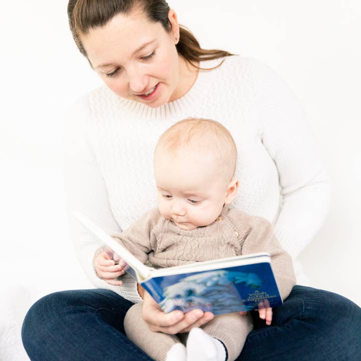 Sleeping Bear Press - Wholesale Baby & Toddler Book (0-2) - A Wish to be a Christmas Tree Board Book7