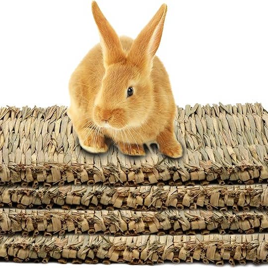 Youngever - Wholesale Pet Toy - Not Cat/Dog - Youngever 4 Pack Grass Mat Woven Bed Mat for Small Animals