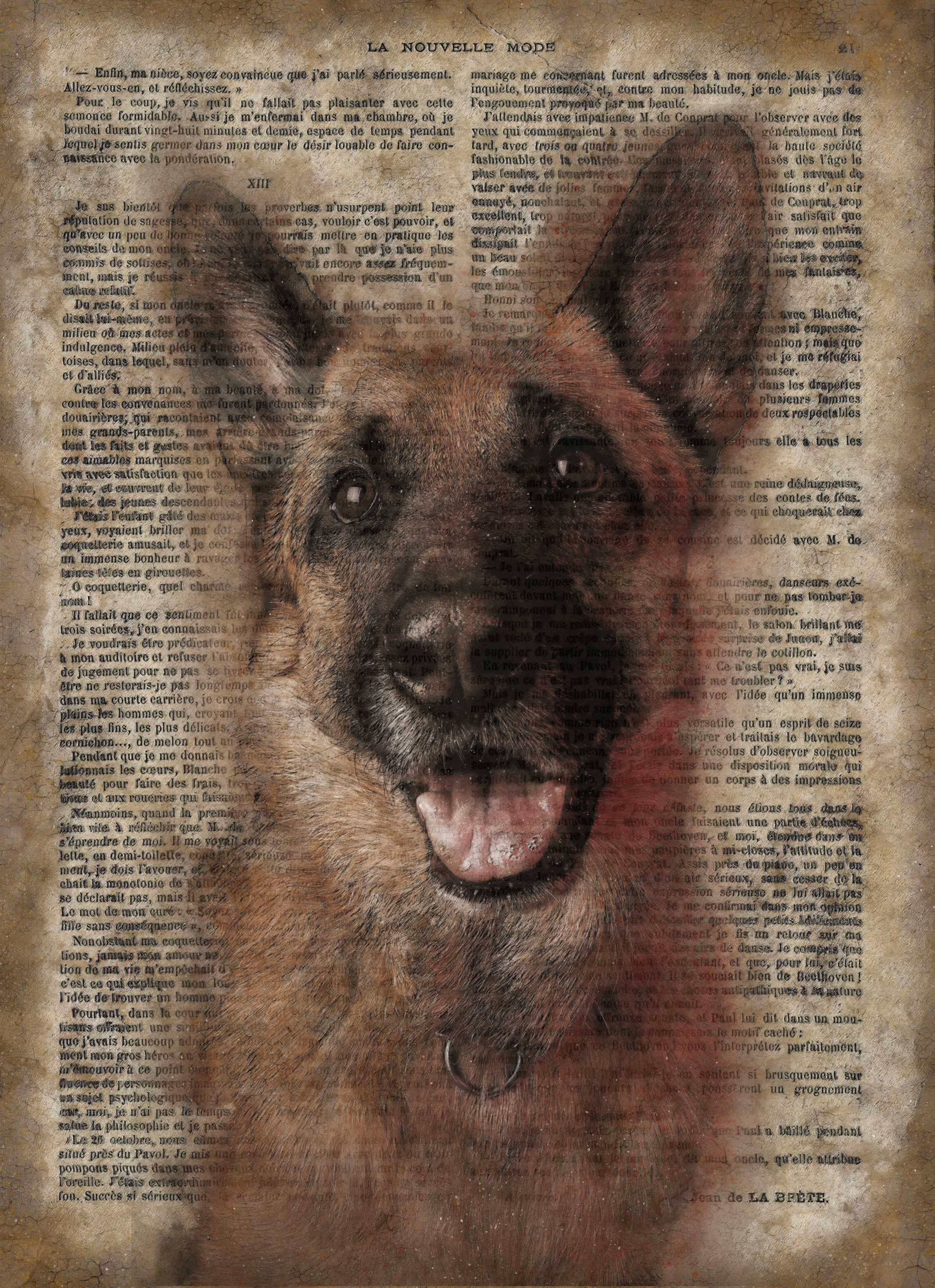 The Shizzle Print Co – Sinal por atacado – Placa de parede de madeira de papel vintage pastor alemão 12 x 8”0