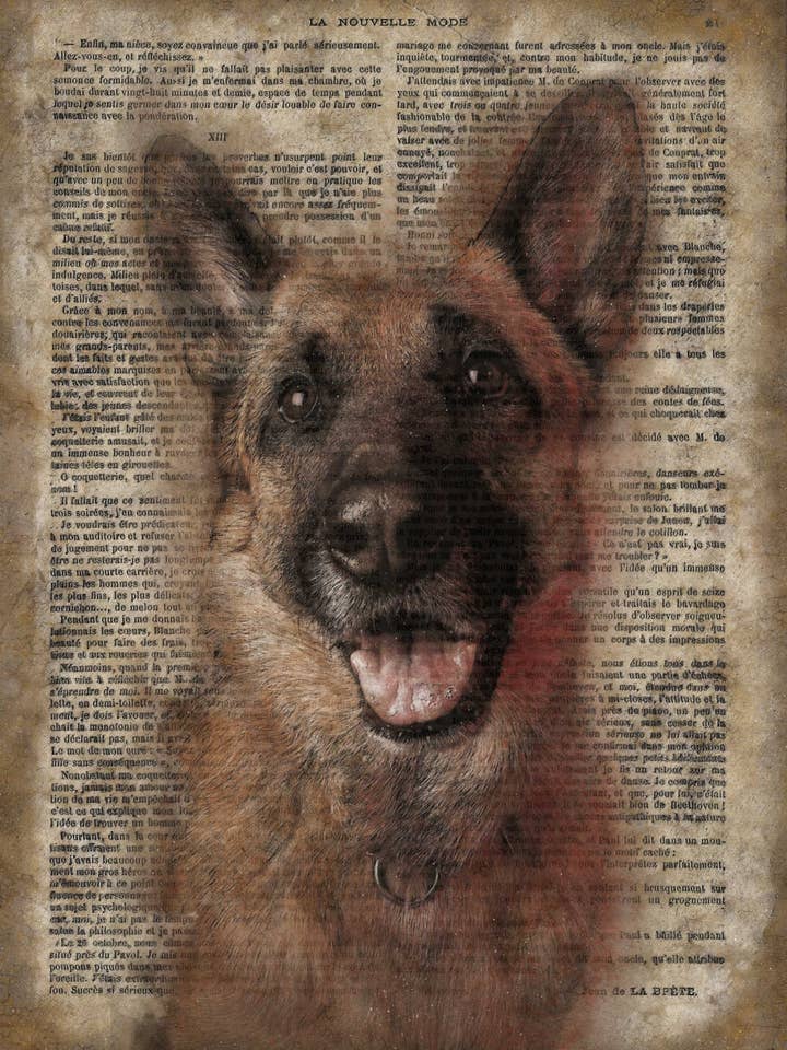 Cartel de pared de madera de papel vintage de pastor alemán 20 x 16» para venta al por mayor de The Shizzle Print Co