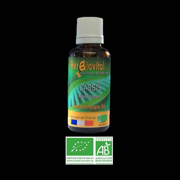 Ribes nero biologico - Il macerato rigenerante per la vendita all'ingrosso da parte di HERBIOVITAL