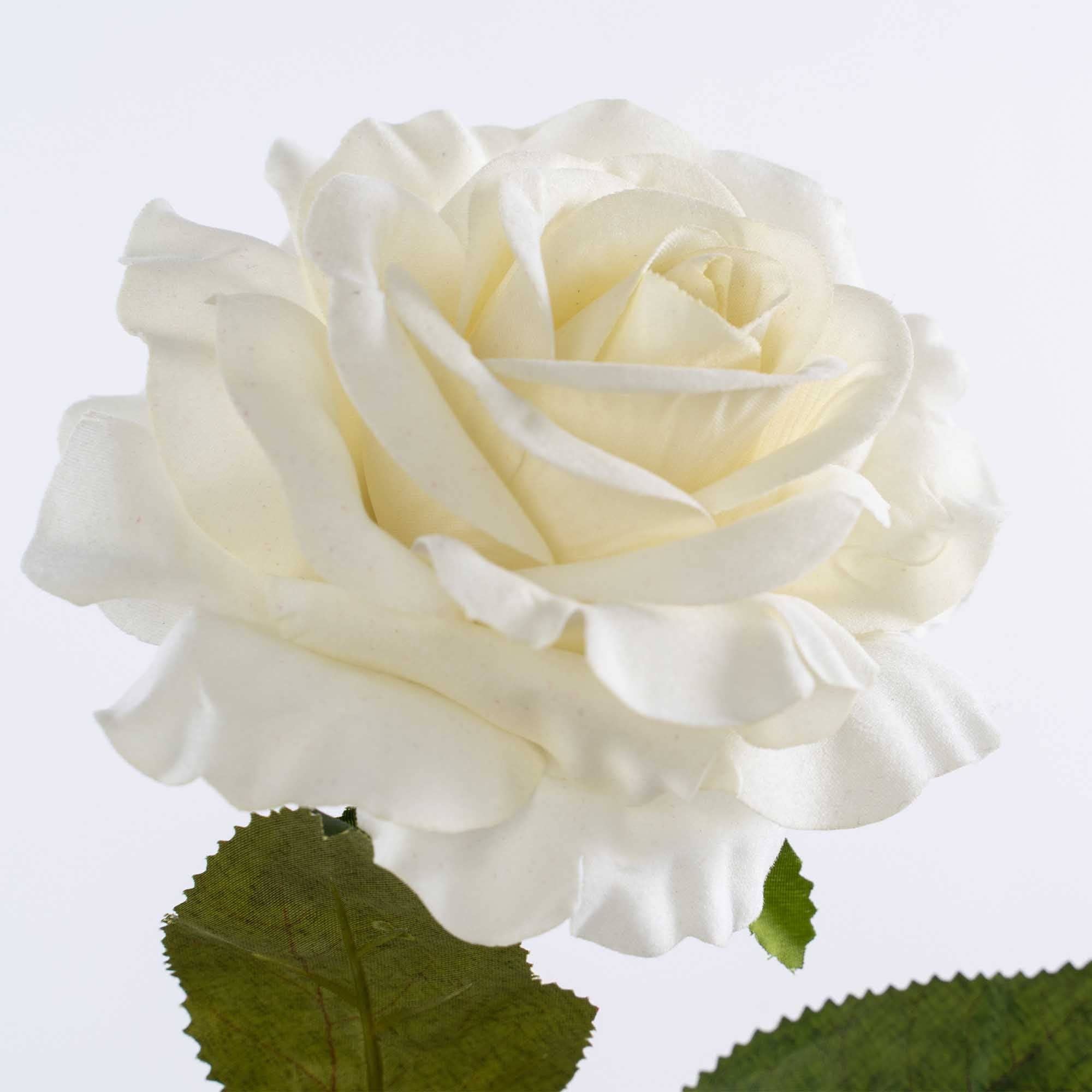 27 Inches Tall Faux Full Bloom Rose - White for wholesale on Faire3
