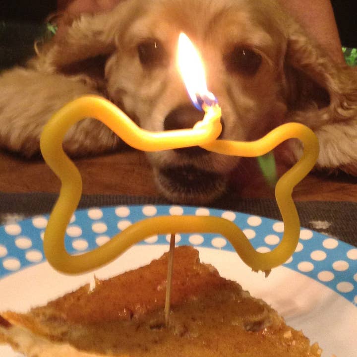 Bougie Doggy Bone - Cire d'abeille pure - Os de chien - Anniversaire de chien pour la vente par Mile-End Soap & Candle Supply