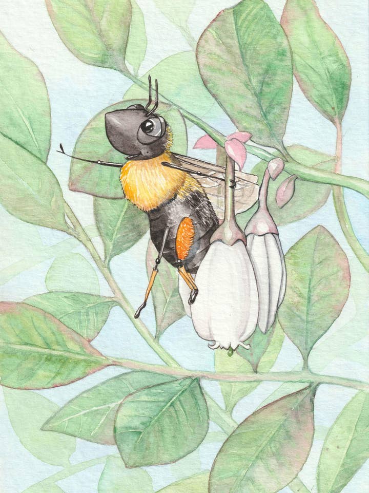 Blueberry Bee 5”x7” Notecard for wholesale by Katie Crawford Art