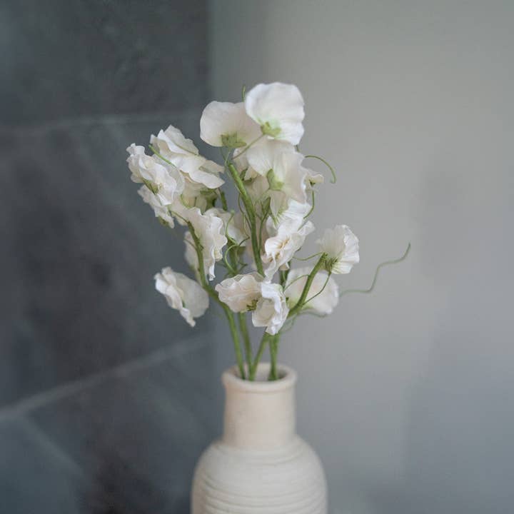 Sweet peas in white paper for wholesale by Flowrette