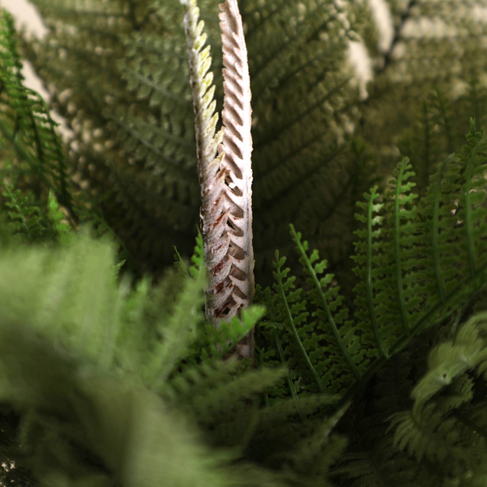 B&B - Vente Pot - Plante Herbe Prise En Plastique Vert 55X55X45cm1