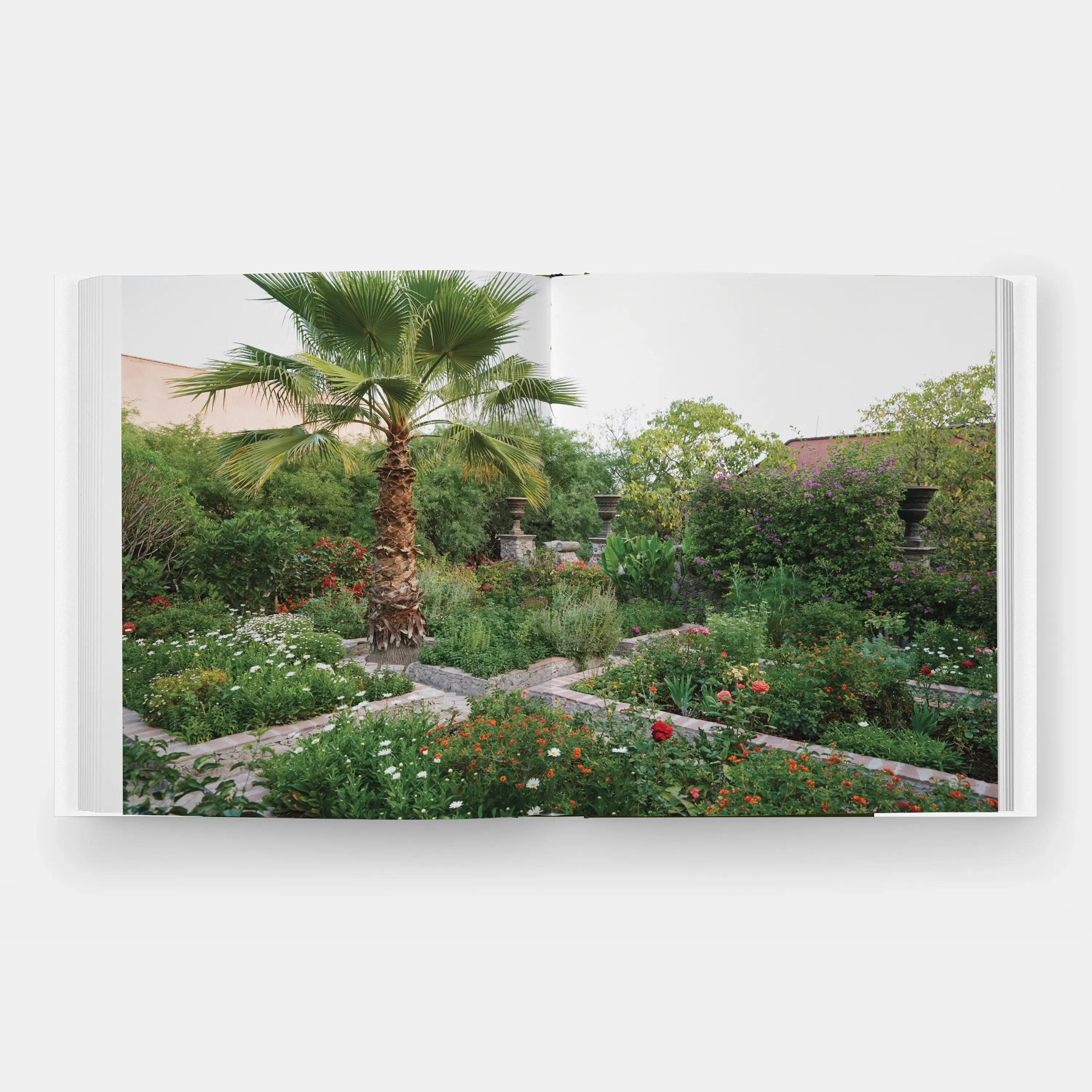 Phaidon - Wholesale Home & Garden - Glorious Gardens4