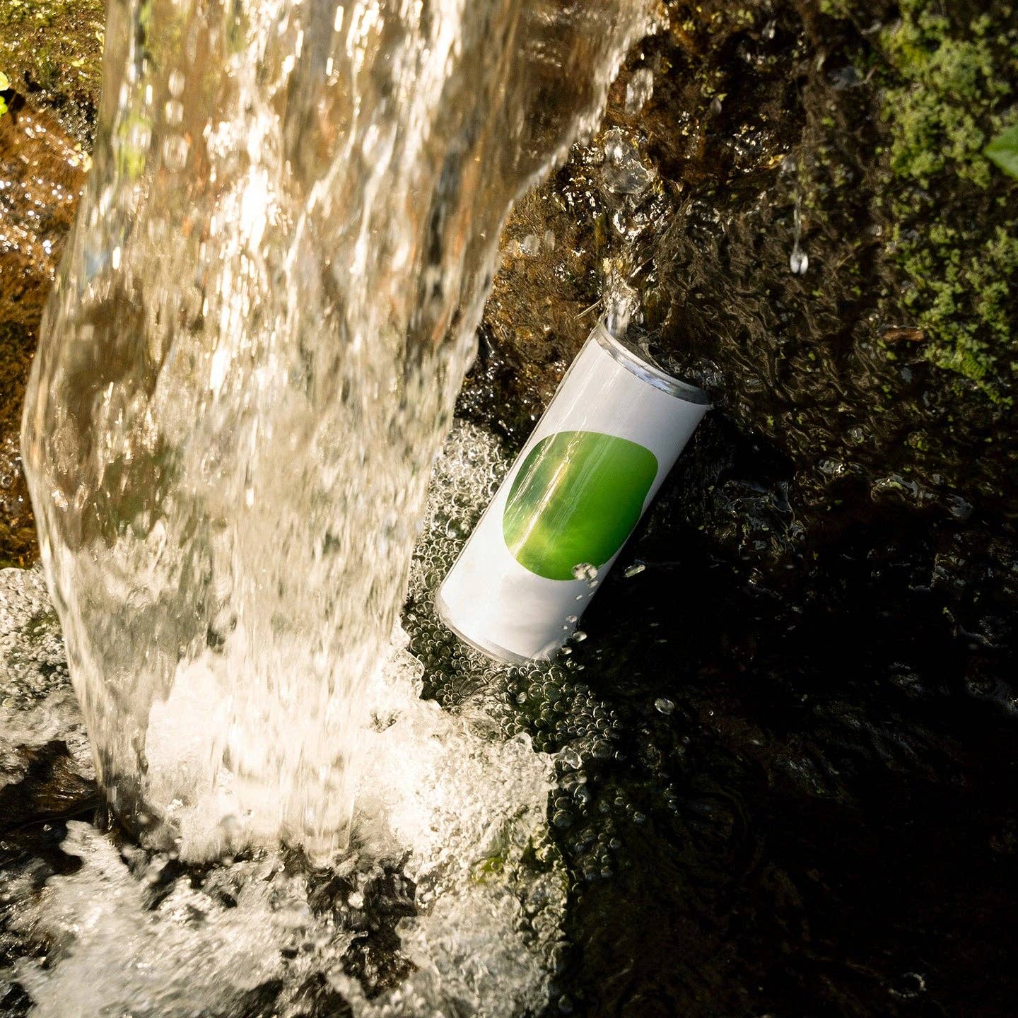 Geocakes - Vente Kombucha - Cette Kombucha Menthe Poivrée BIOlogique - Canette 250ml2