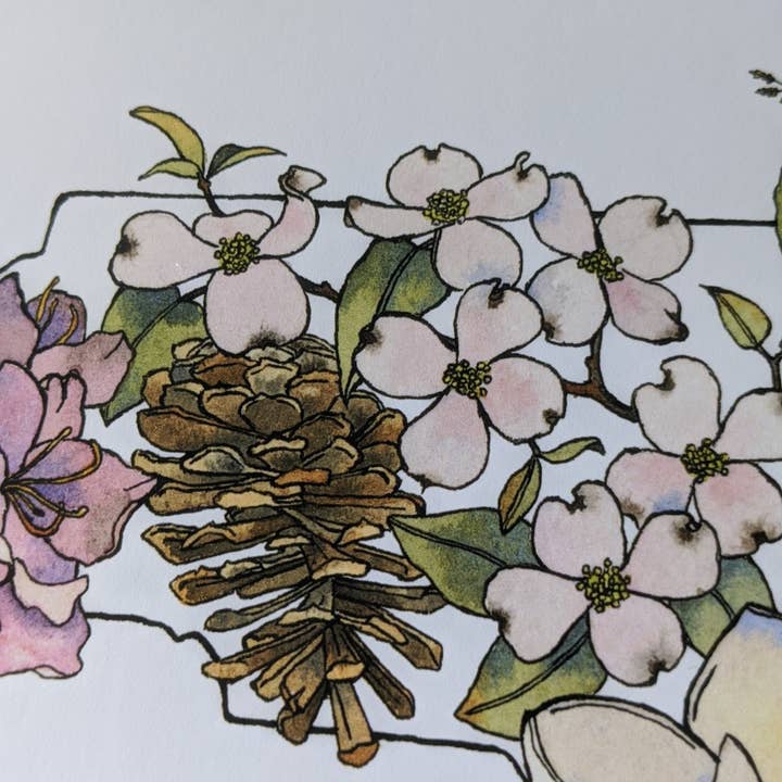 Papermill Creative - Wholesale Stationery/Notecard Set - North Carolina Native Plants notecard4