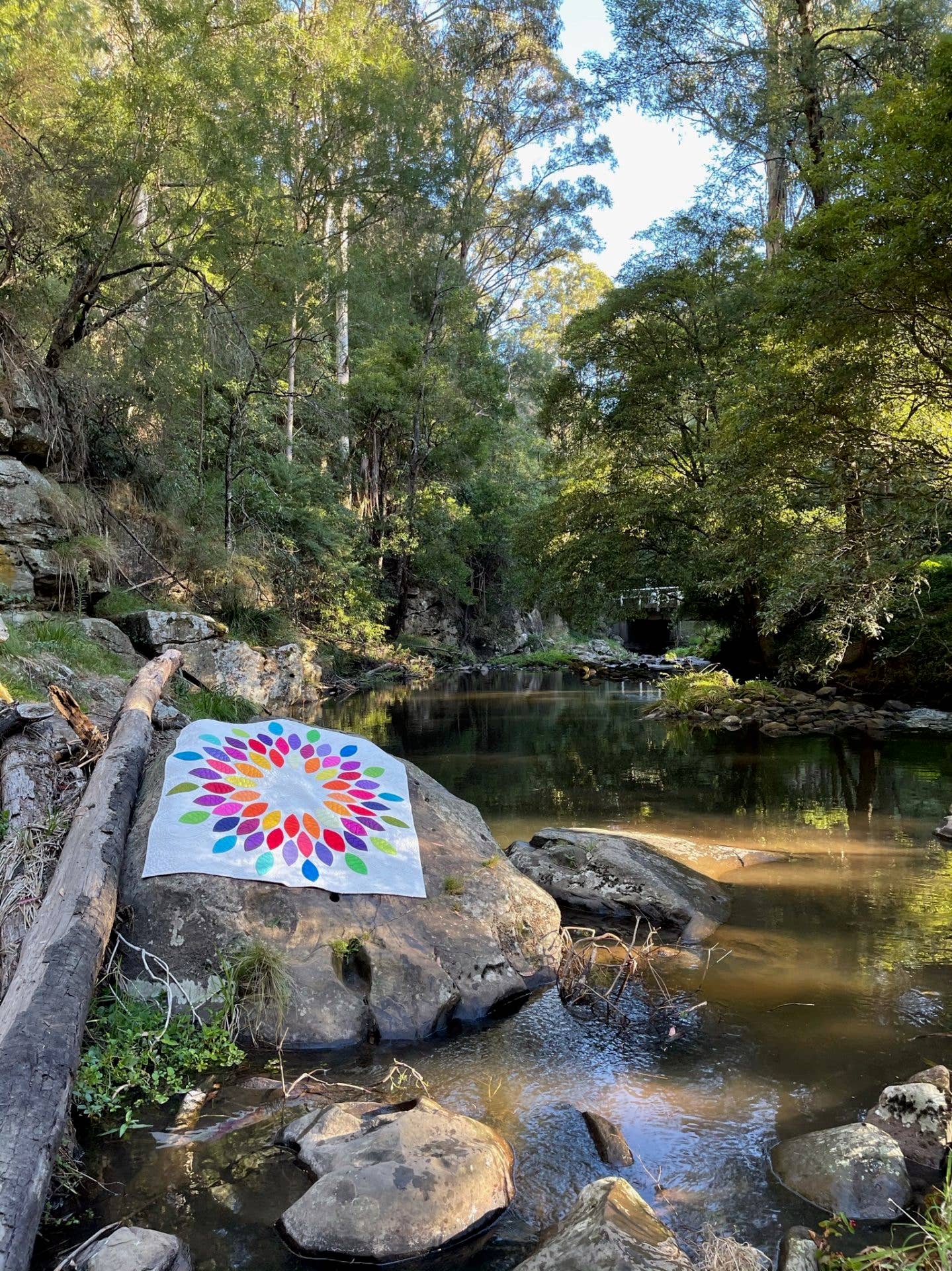 Free Bird Quilting Designs – Engroshandel DIY-sysæt – Frøeksplosionsmønster2