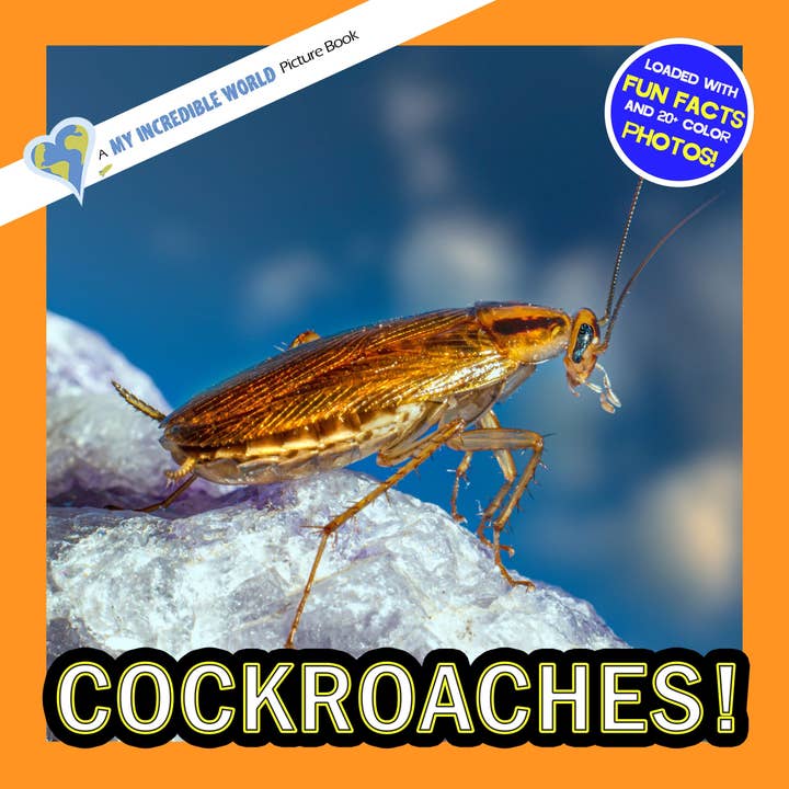 Cockroaches! A My Incredible World Picture Book for Children for wholesale by My Incredible World