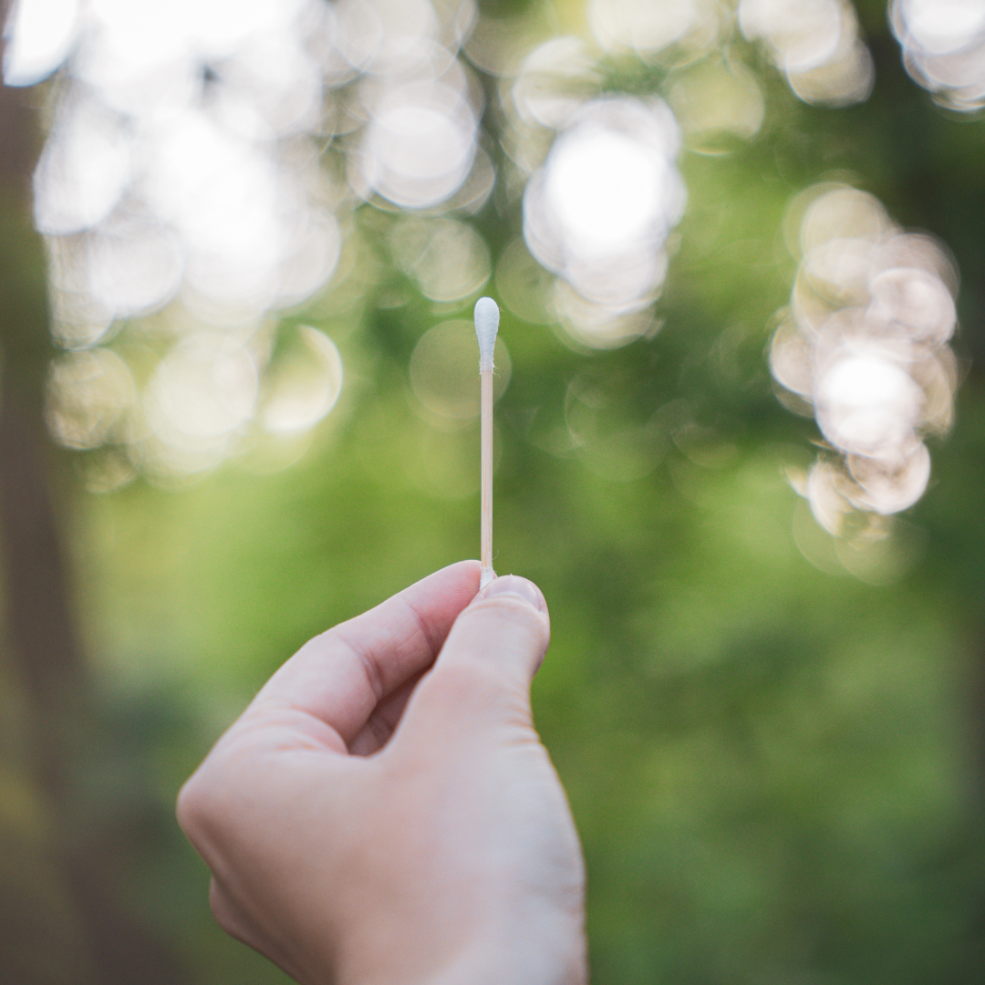 Pandoo - Wholesale Cotton Swab/Q-Tip - Bamboo cotton swabs with organic cotton | 200 pieces6