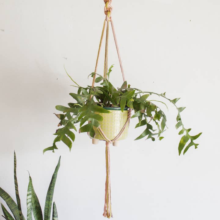 Modern Bo Studio – wholesale Hängande kruka – Chunky Twist Växtampel - Flerfärgad7