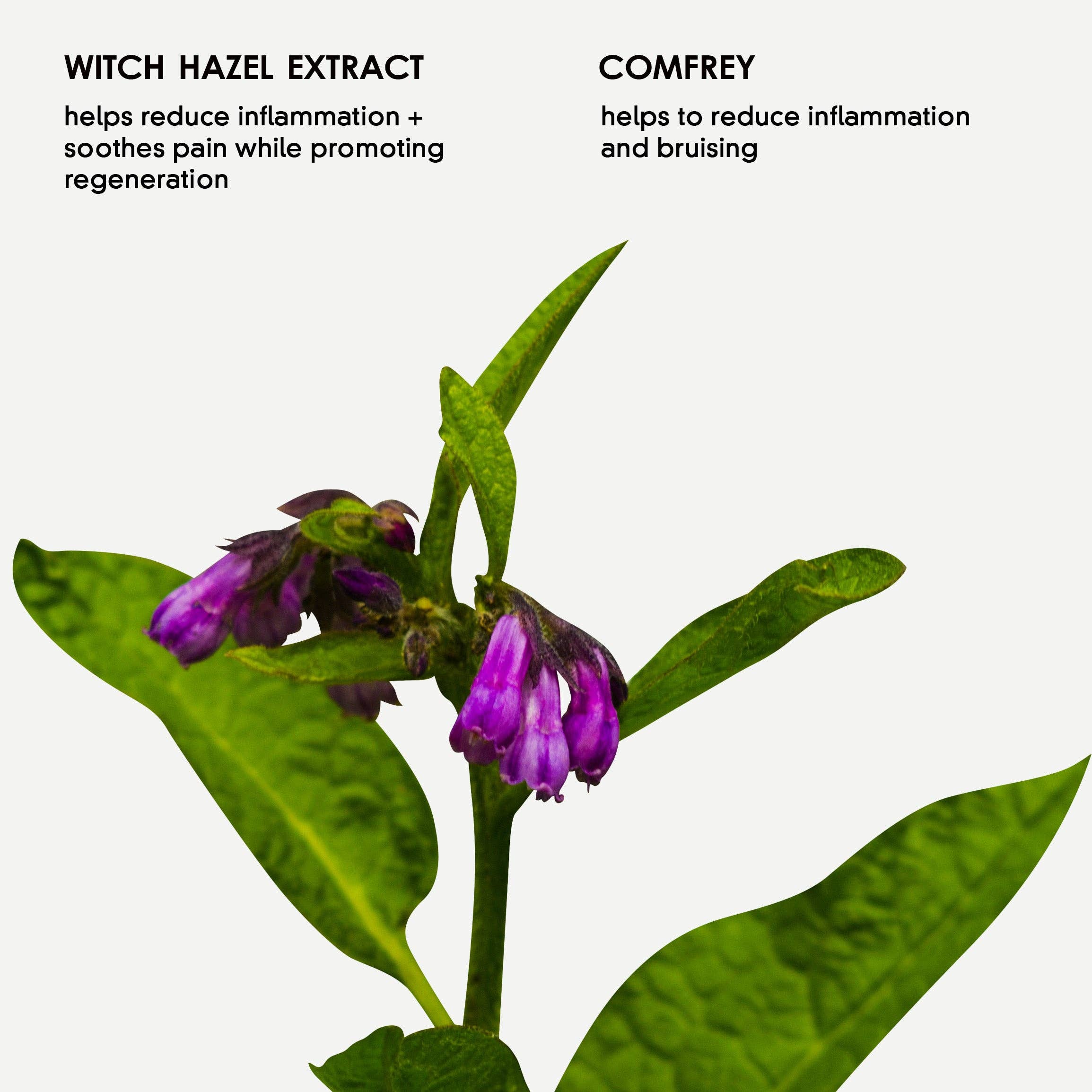 Mum Bub Hub CIC – wholesale Bath soak/milk – Herbal Bath Soak1