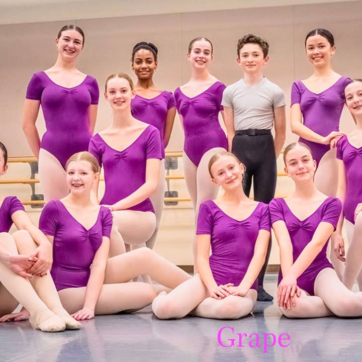 Classic Dance Ballet Leotard - Ladies Sizes - SPECIAL PRICE for wholesale by Dancer.NYC