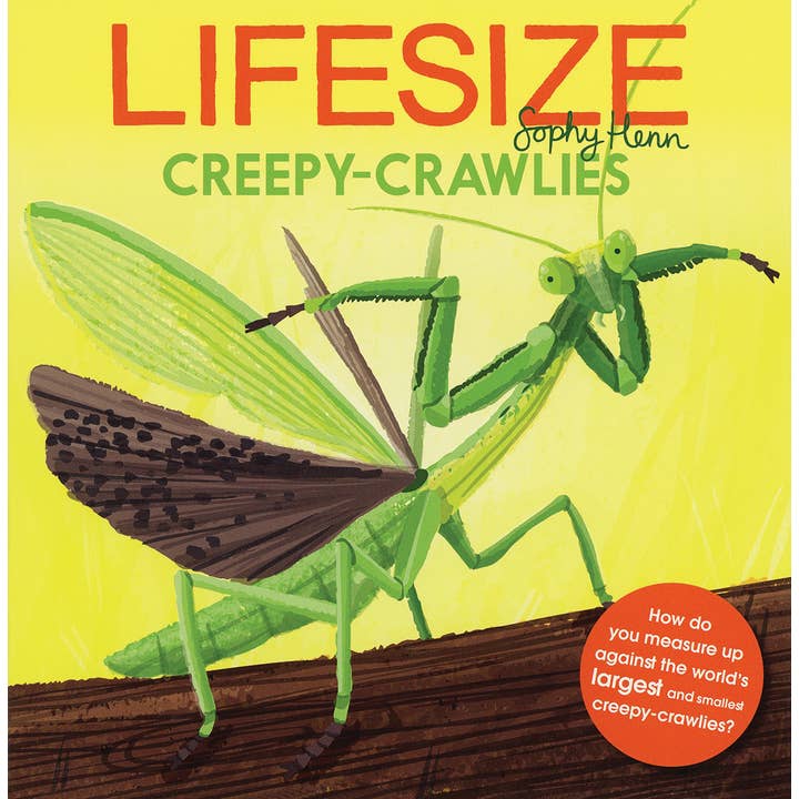 EDC Publishing - Wholesale Preschool Book (3-5) - Lifesize Creepy-Crawlies (Mini Book)