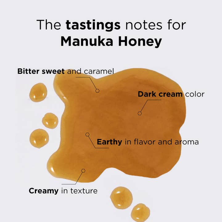 Manuka Doctor - Wholesale Honey - 182 MGO/ UMF 8+ Squeezable Manuka Honey 10.58 oz4