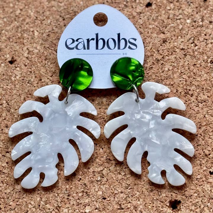 Monstera for wholesale by EarBobs DC