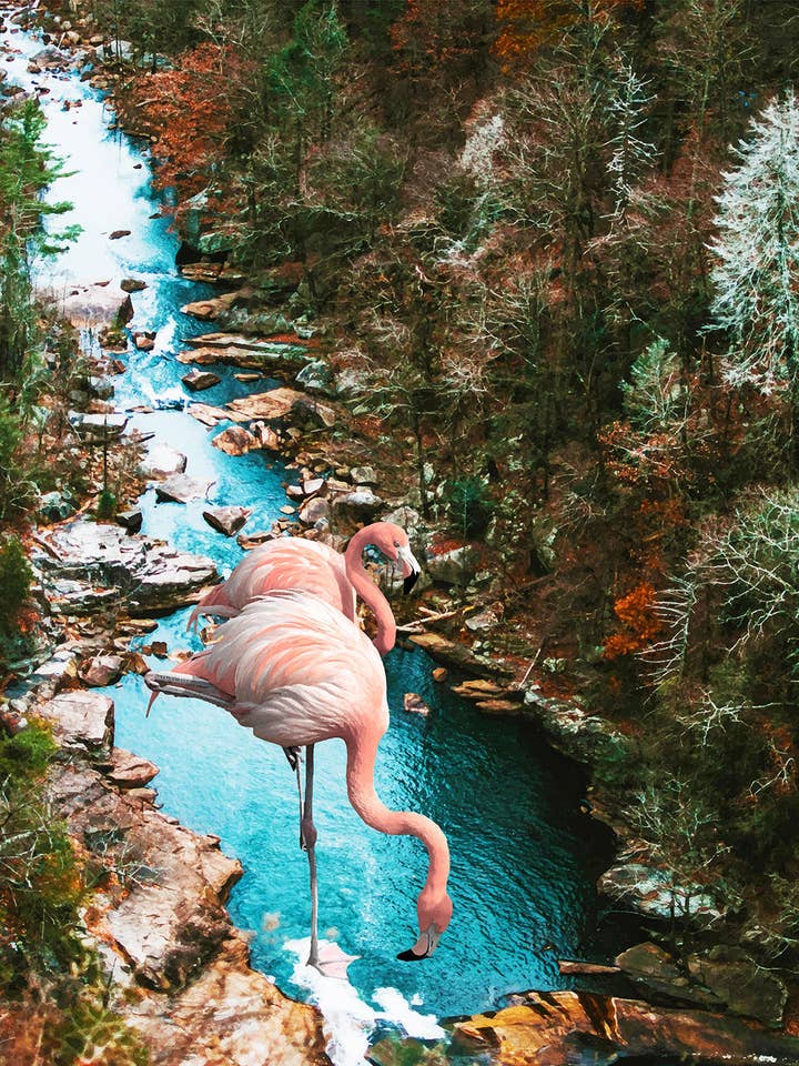 83 Oranges - Flamencos en el Bosque para venta al por mayor de BLUE SHAKER