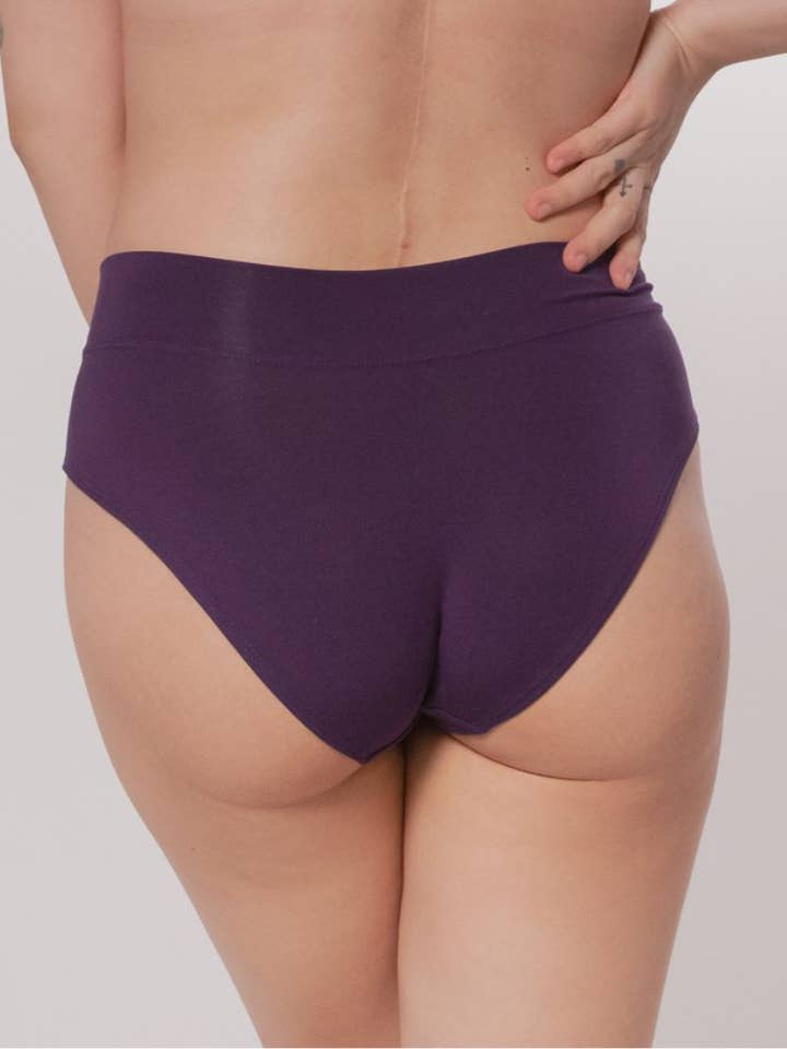 Classic Bikini Underwear (Original) for wholesale by Calita Intimates