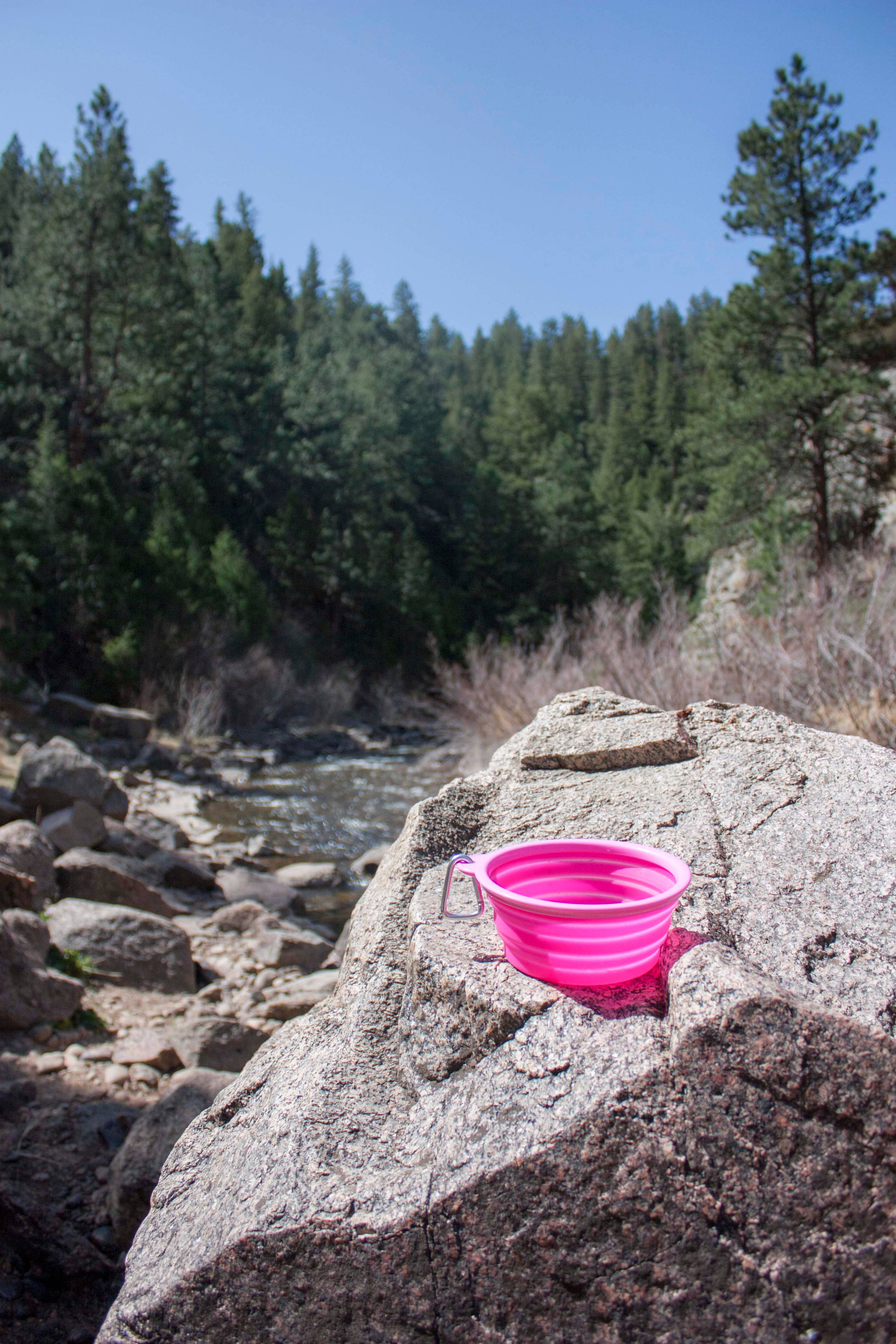 Prima Pets - Wholesale Pet Bowl - Cat/Dog - Large Collapsible Travel Dog Bowl - Pink3