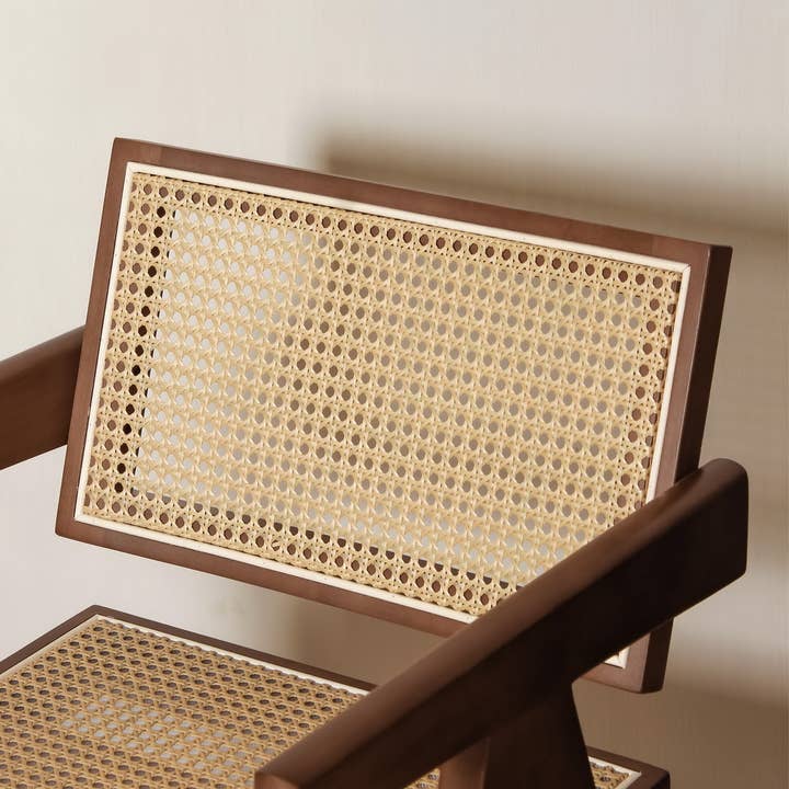 Element Accessories EU - Wholesale Chair - Luxury Edition: chair Pierre Jeanneret walnut + rattan6