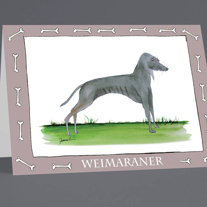 Weimaraner greeting cards (pack of 6) for wholesale by Tony Fernandes Design