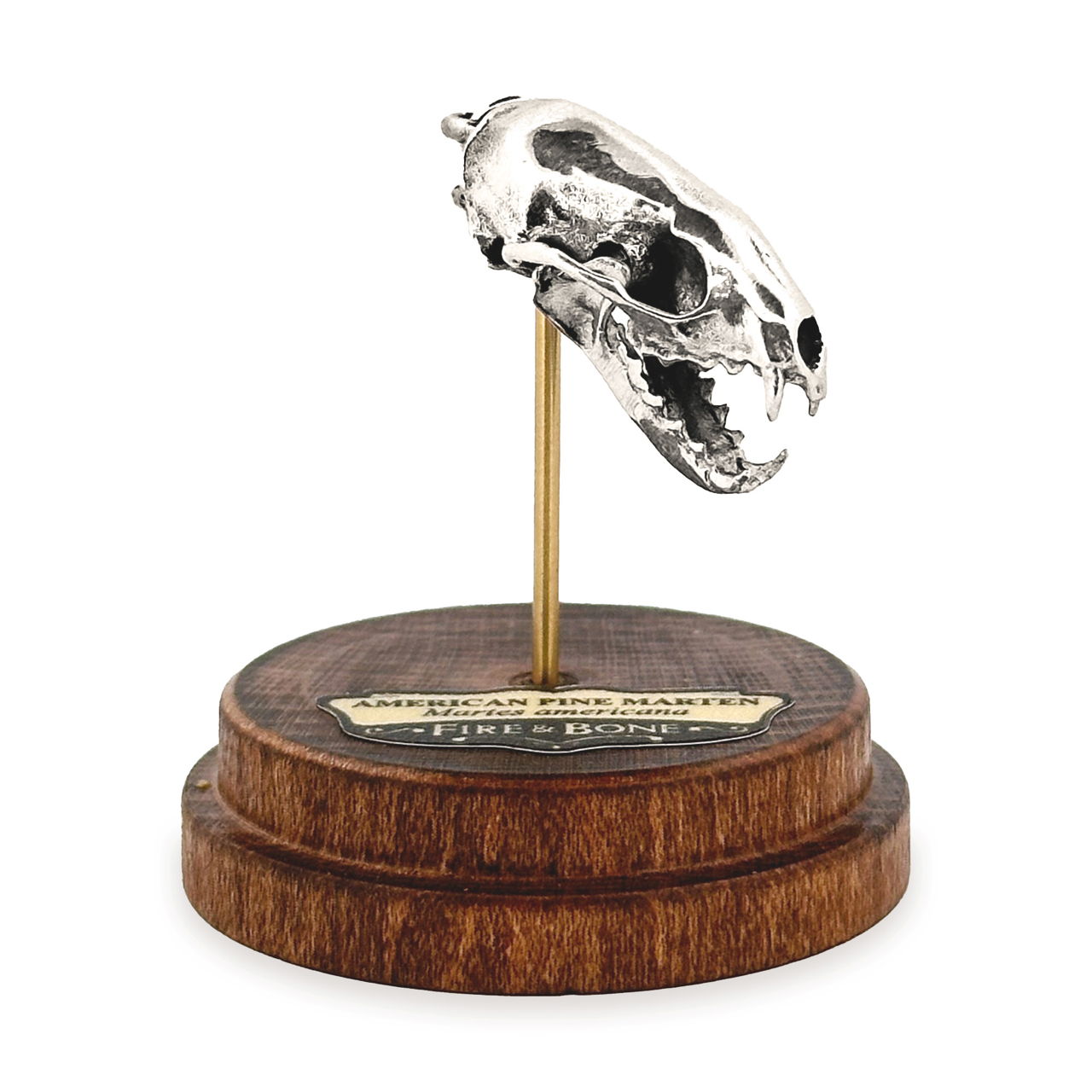 Fire & Bone - Wholesale Pendant/Charm Necklace - American Pine Marten4