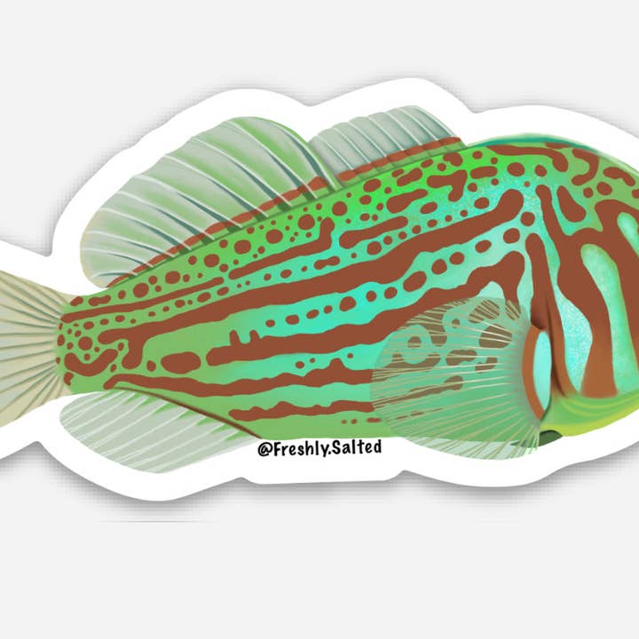 Autocollant Clown Goby vert pour la vente par Freshly Salted LLC