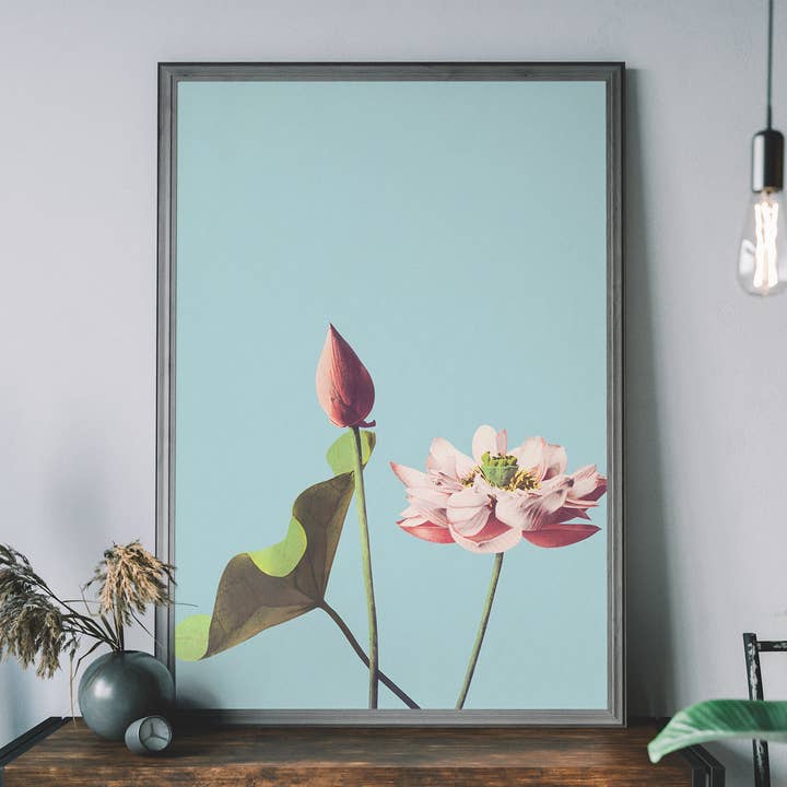Lotus Flower Ogawa Kazumasa Flowers Print for wholesale by Ink & Drop
