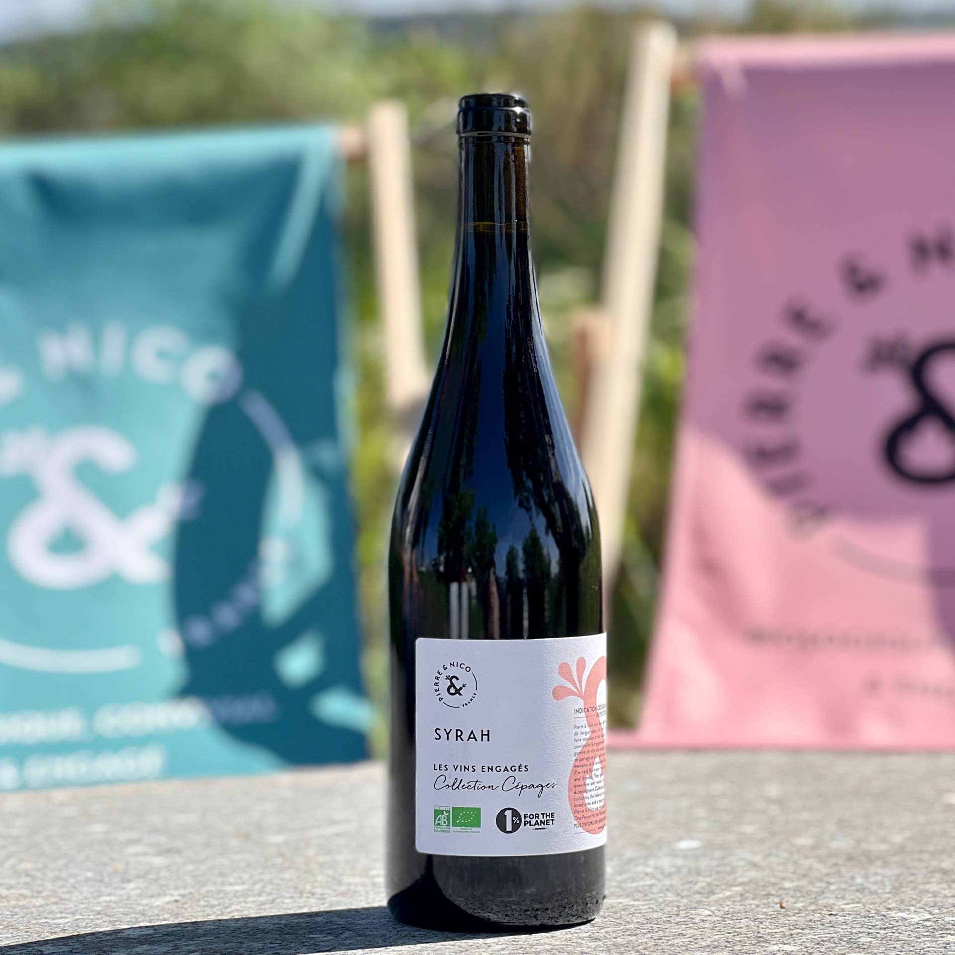 PIERRE ET NICO - Wholesale Red Wine - Organic red wine - IGP Pays d'Oc - 75 cL - Syrah - Pierre & Nico2