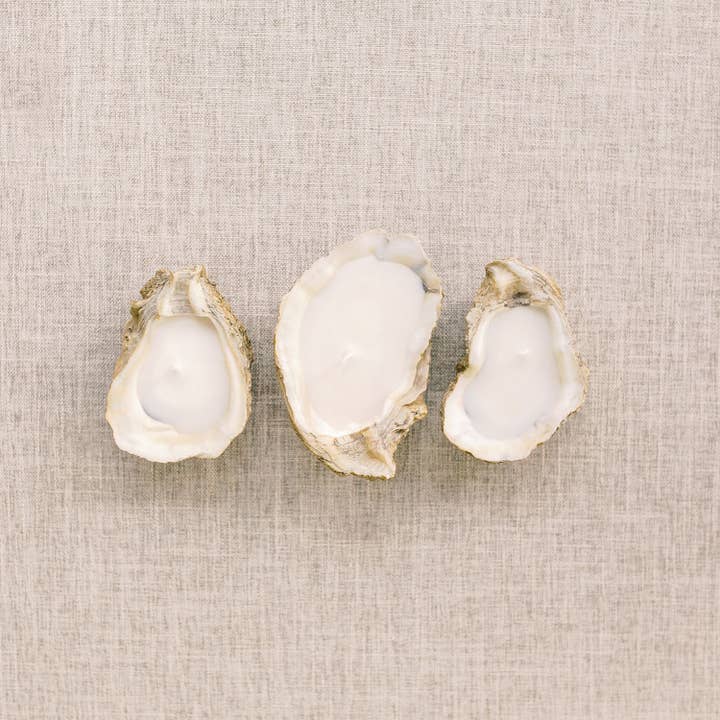 Oyster Shell Candle for wholesale by Grit and Grace Studio
