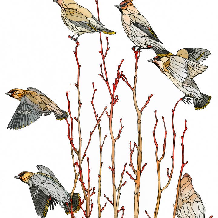 Mattie Rose Art - Wholesale Everyday Greeting Card - Waxwing card