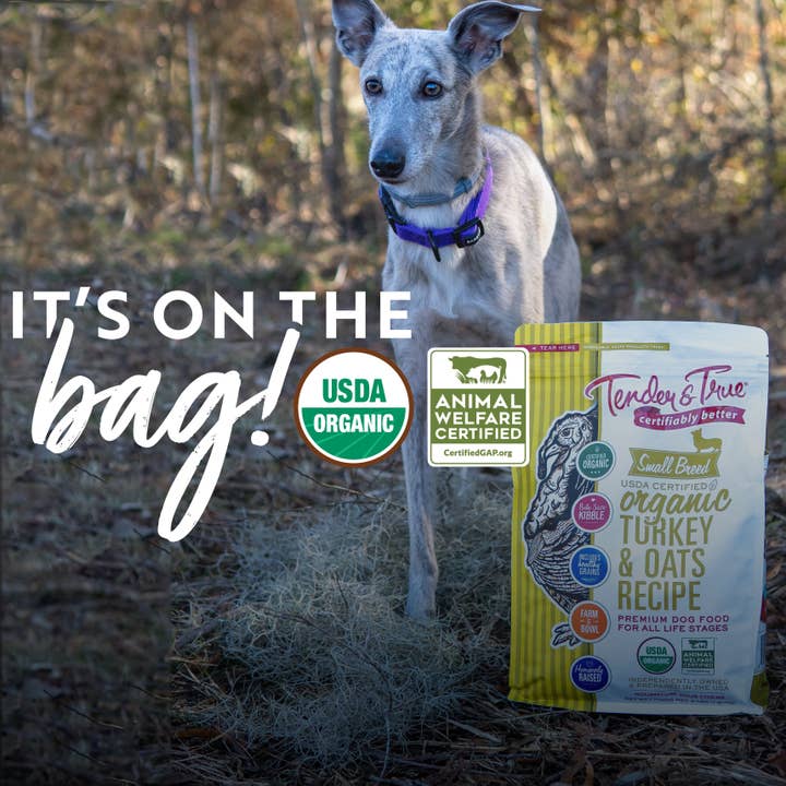 Tender & True Pet Nutrition - Wholesale Pet Food - Dog - Organic Small Breed Turkey & Oats Recipe Dry Dog Food, 4lb.