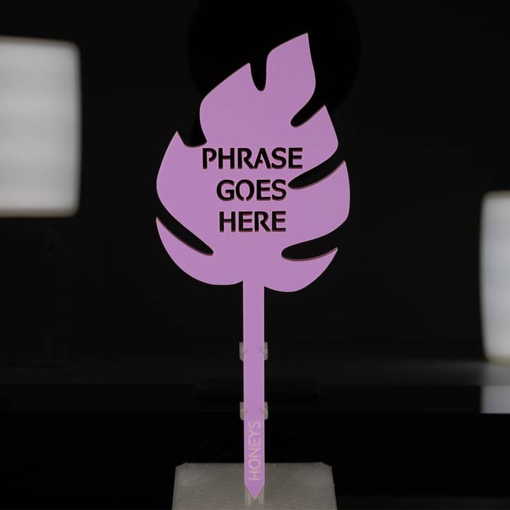 Honeys Plant Climbers - Wholesale Garden/lawn stake - Plant Stake - In My Plant Era Collection1