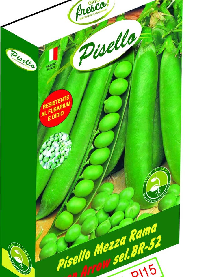 Half Climbing Pea Green Arrow Sel. BR-52 for wholesale by Sementi & Barbatelle