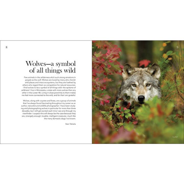 AdventureKEEN - Wholesale Nature & Outdoors - Wolves, Coyotes & Foxes2