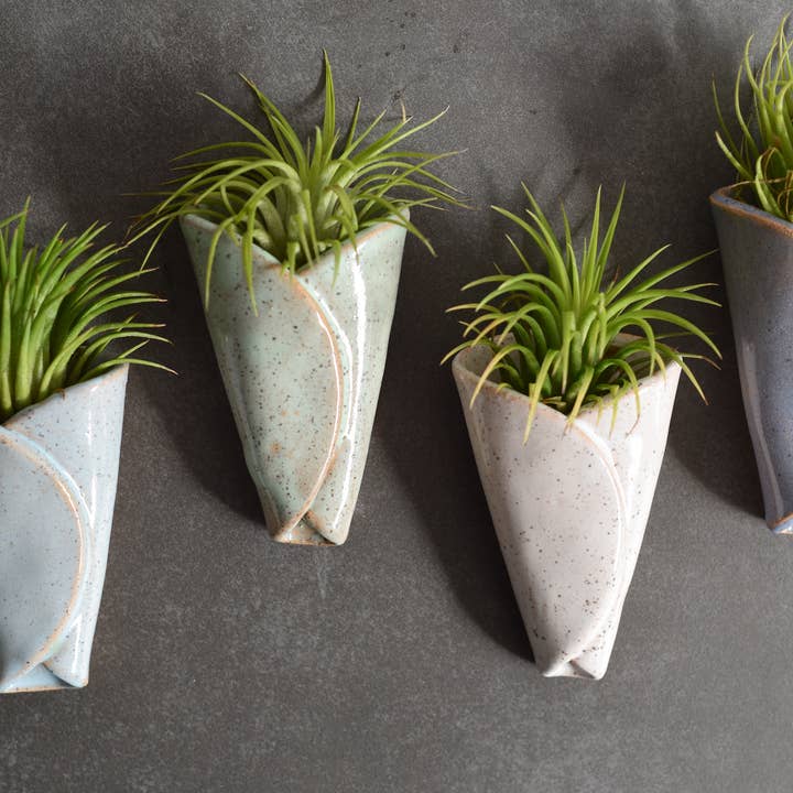 Air Plant Pottery - CONE for wholesale by Mud & Maker