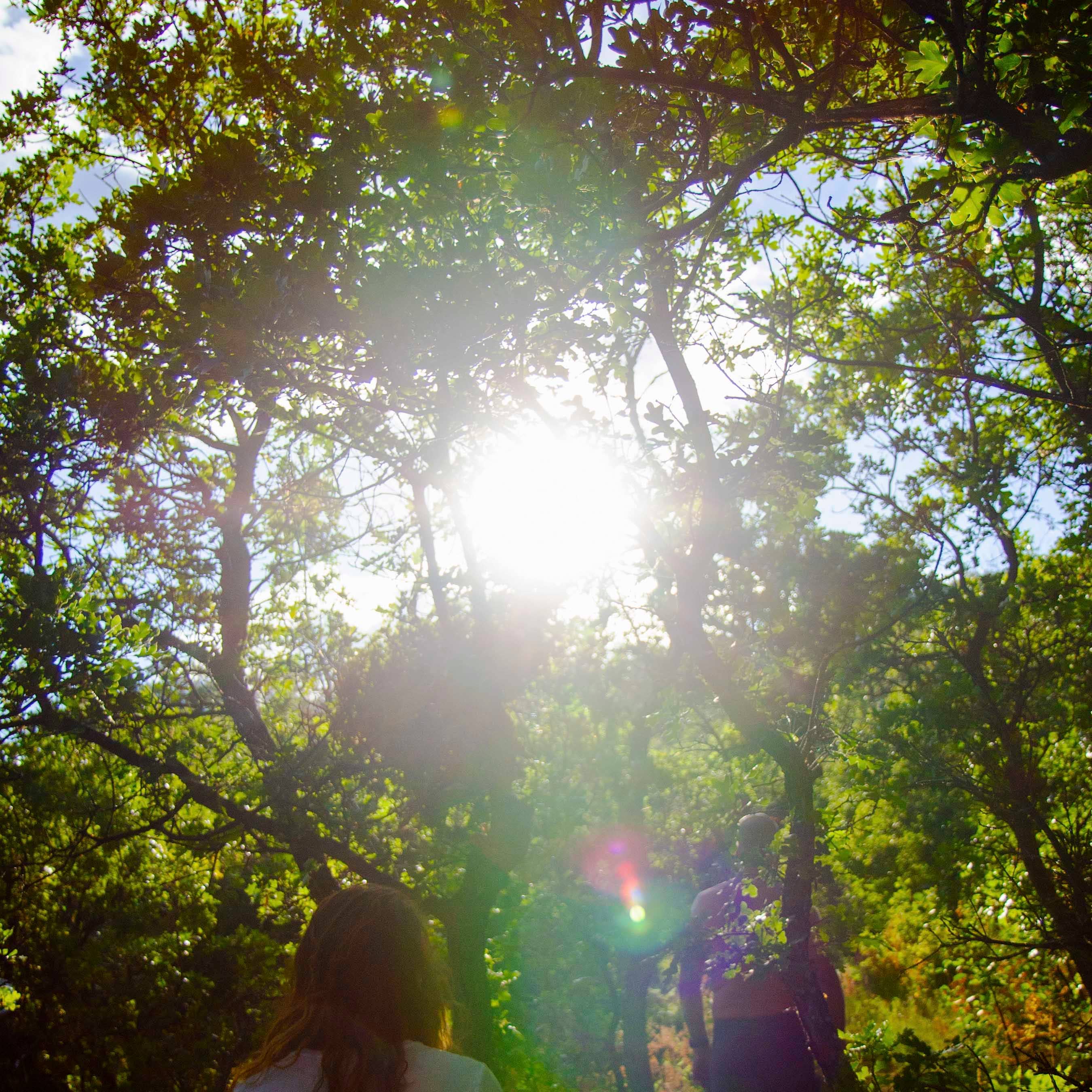 Shwally – Großhandel Gesichtsserum/-konzentrat – Shwally Repair Serum mit Methylenblau & Toten Meer Mineralien7