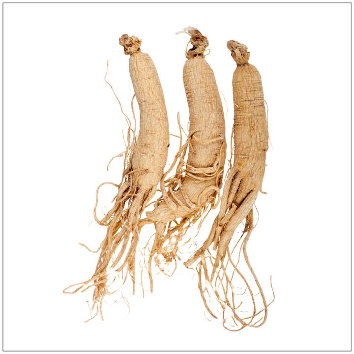 Alive Herbals - Wholesale Herbs - Ginseng Root0