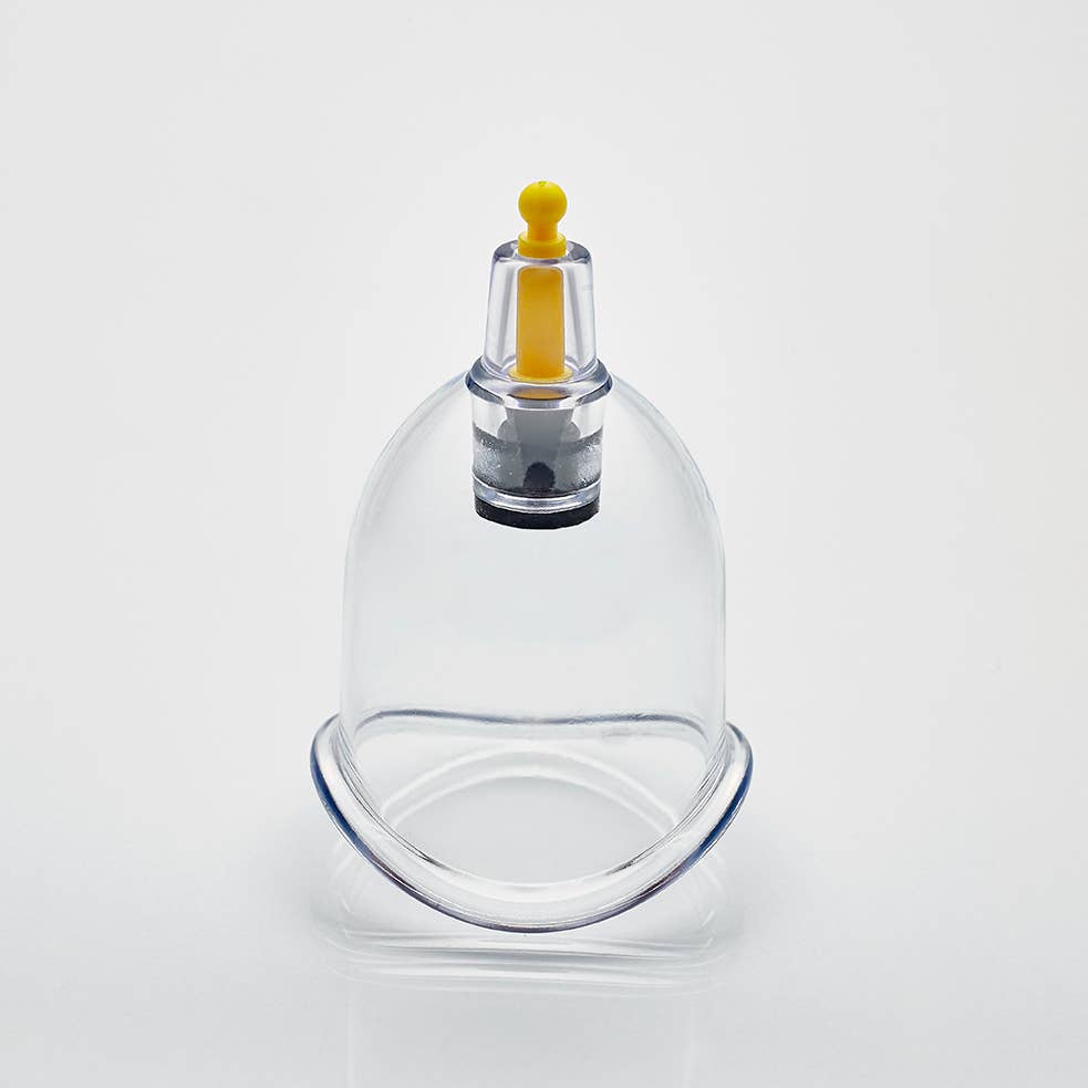 Nature’s Blends - Vente Verre/tasse - 500 ventouses de qualité supérieure - tailles mixtes de B1 à B66