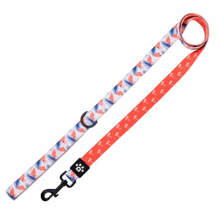 Leash- Aruba for wholesale by Homedogco