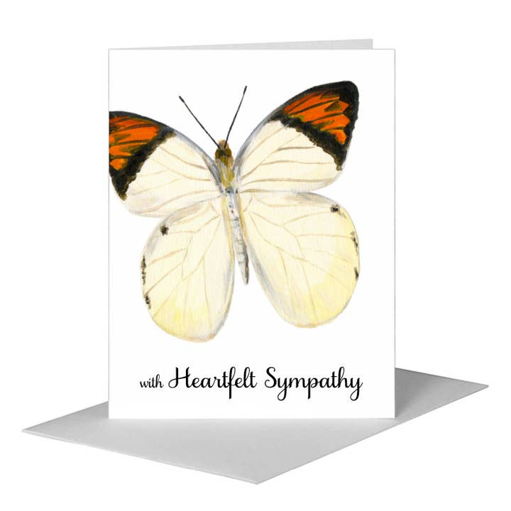 Hebomoia Glaucippe Felderi Butterfly, Greeting Card (#7770A) for wholesale by Printed Canvas