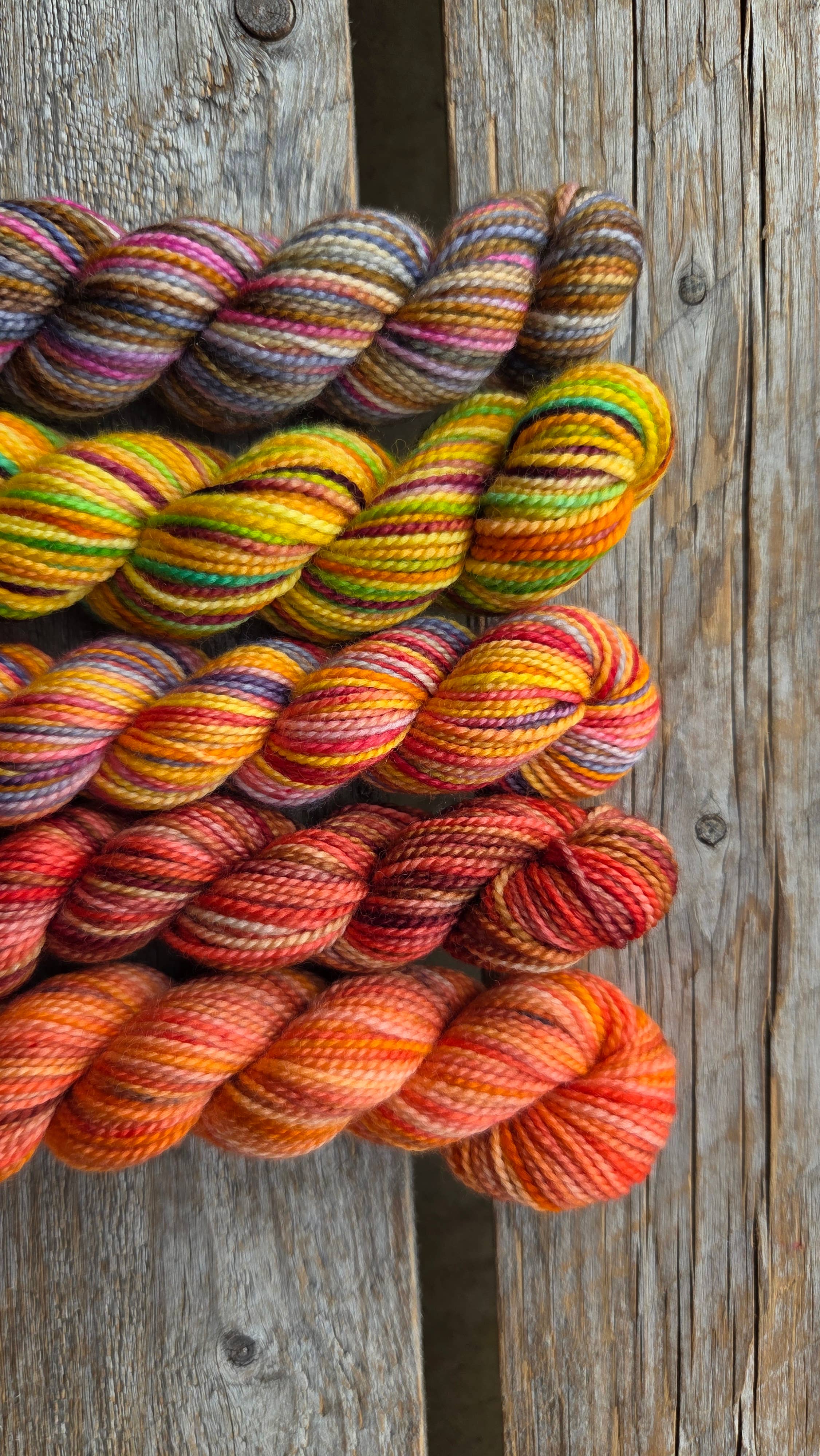 Koigu Wool Designs - Vente Fils à tricoter - Boîtes de Peinture de Fleurs Provinciales (ensembles de mini-écheveaux)9